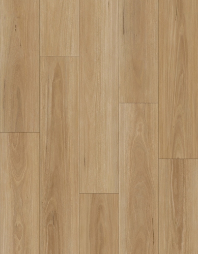 ECOW9062